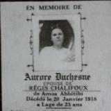 Généalogie Duchesne