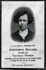 Généalogie Boucher