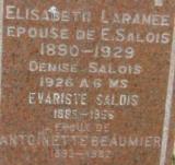 Généalogie Salois