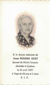 Généalogie Guay