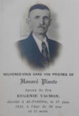 Généalogie Plante