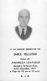 Généalogie Pelletier