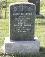 Généalogie Pelletier