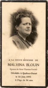 Généalogie Blouin