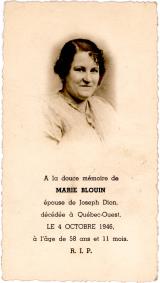 Généalogie Blouin